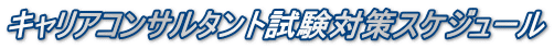 �L�����A�R���T���^���g�����΍�X�P�W���[��