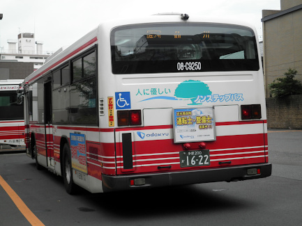 散歩1147
