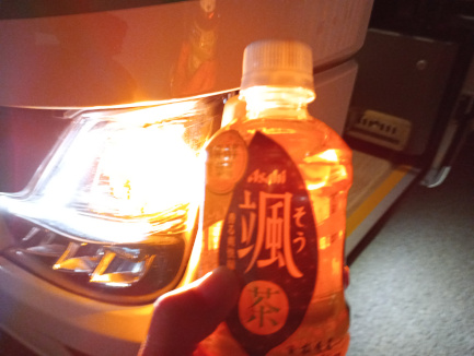 散歩1196