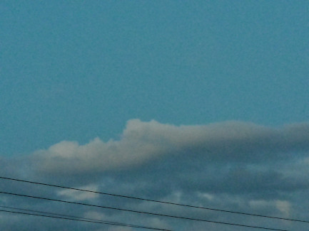 散歩1256