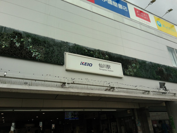 散歩1355