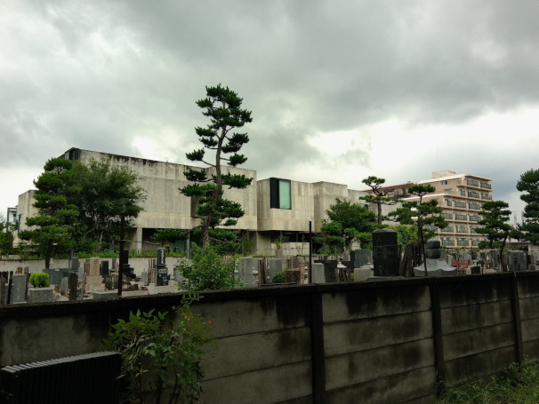 散歩1359