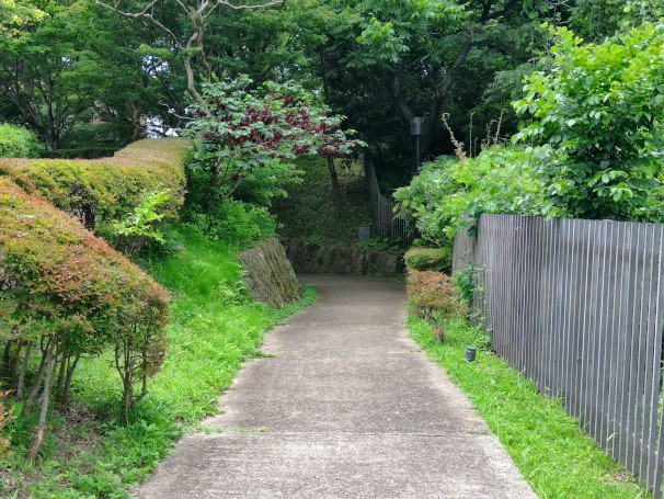 散歩1411