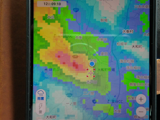 散歩1444