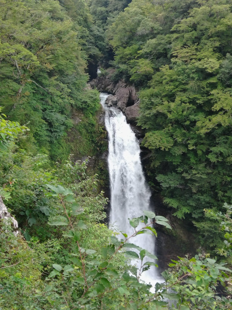 散歩1450