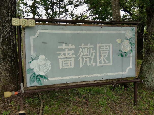 散歩1500
