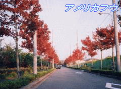 file:///D:/kobo-b/wagamati/kaitanioike/huu01.gif