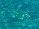 2006.7.13 1049.jpg