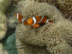 2006.7.13 1072.jpg