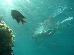 2006.7.13 1600.jpg