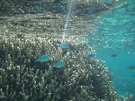 2006.7.13 1077.jpg