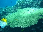 2006.7.13 383.jpg