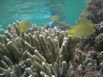 2006.7.13 1066.jpg