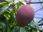2006.7.13 1242.jpg