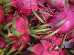 2006.7.13 308.jpg
