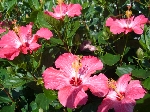 2006.7.13 806.jpg