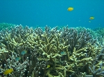 2006.7.13 326.jpg