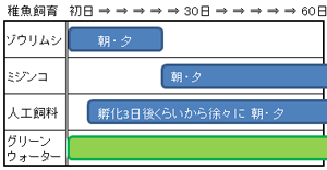 例4 ．人工飼料、ゾウリムシ、ミジンコ、グリーンウォーター の併用