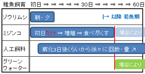当方での給餌例（メダカの稚魚→若魚）