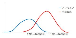 生物ろ過が立ち上がるまでの大まかなイメージ