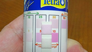 硝酸塩濃度（テトラ 6in1）