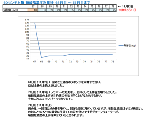 硝酸塩濃度の推移