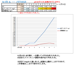 比較用の環境 アンモニア・亜硝酸塩濃度