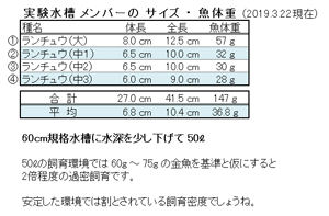 実験水槽の金魚たちの 体長・全長・魚体重