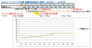 硝酸塩濃度の推移 29日目～40日目