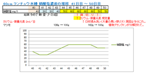 硝酸塩濃度の推移 41日目～50日目