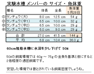 実験水槽のメンバーの 体長・全長・魚体重