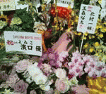説明: 説明: 説明: 説明: t03
