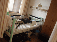 お部屋移動